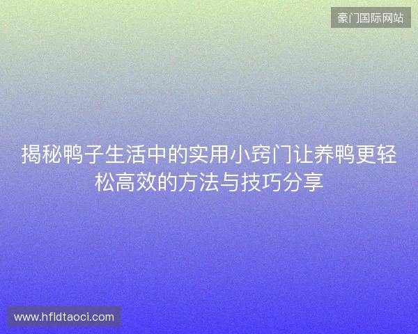 揭秘鸭子生活中的实用小窍门让养鸭更轻松高效的方法与技巧分享